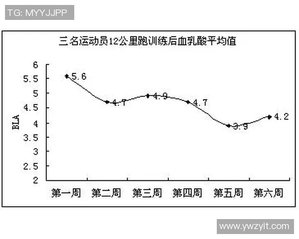 武汉篮球队在邀请赛中的耐力表现分析与总结